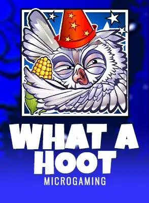 what-a-hoot.webp